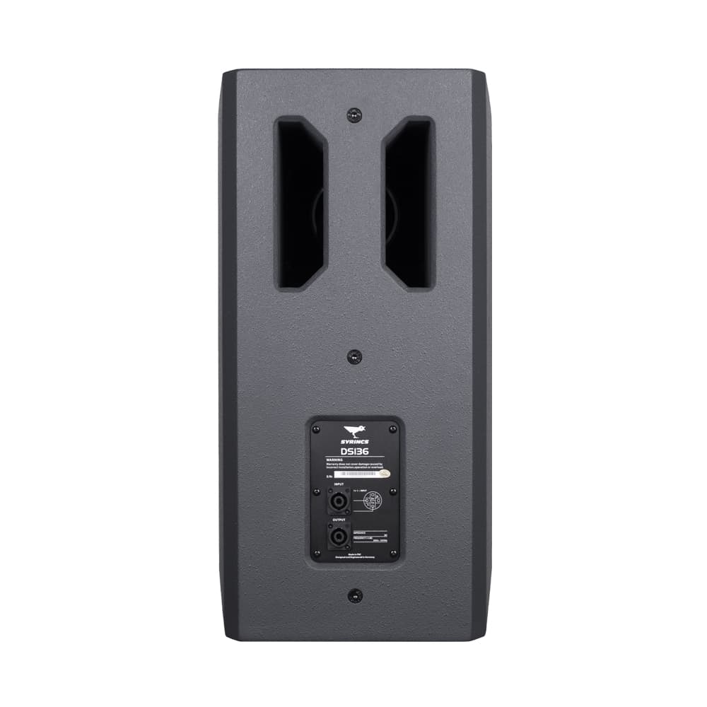 DS136-14-inch two frequency rear-ported speaker
