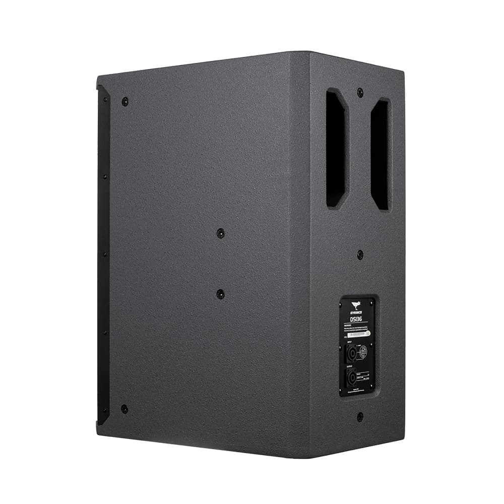 DS136-14-inch two frequency rear-ported speaker